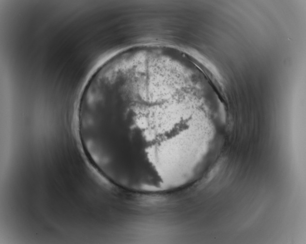 X0000086951239200705141816