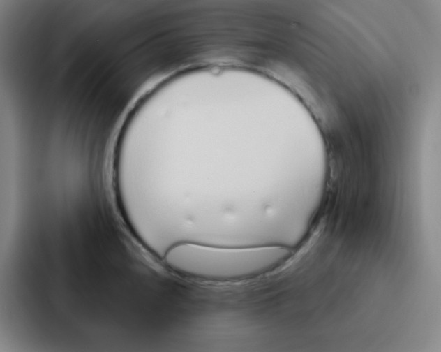 X0000086951240200705141816