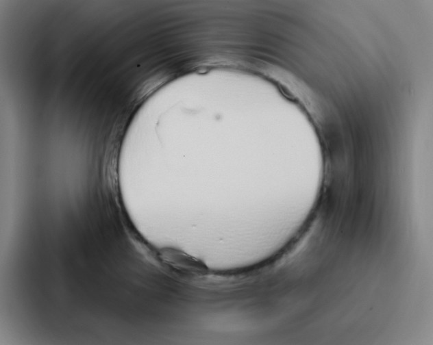 X0000086951241200705141816