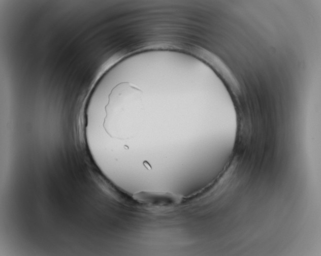 X0000086951242200705141816