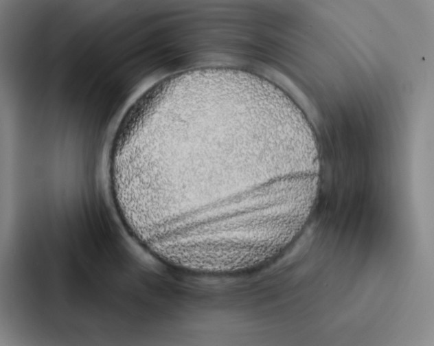 X0000086951243200705141816