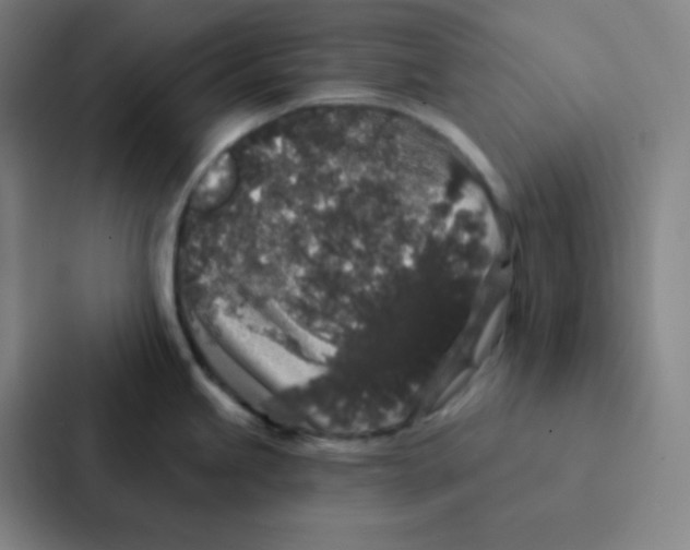 X0000086951245200705141816