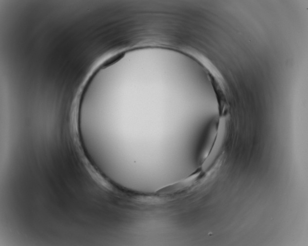 X0000086951246200705141816