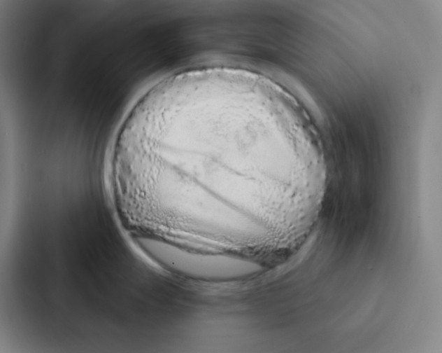 X0000086951247200705141816