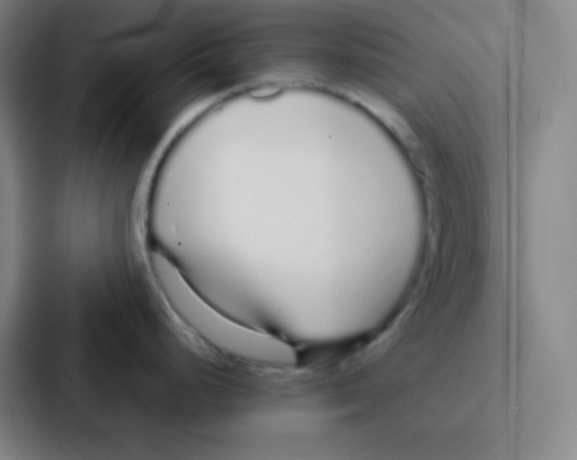 X0000086951248200705141816