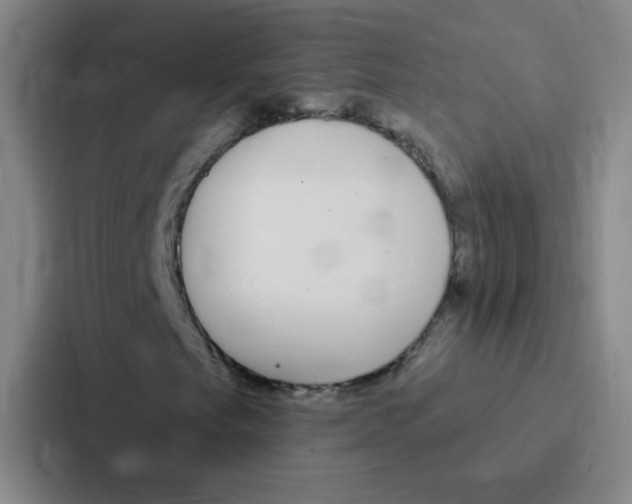 X0000086951249200705141815