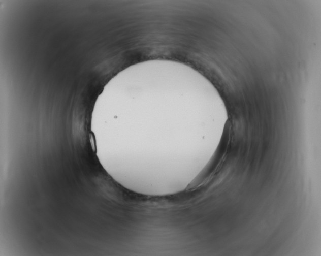 X0000086951250200705141815