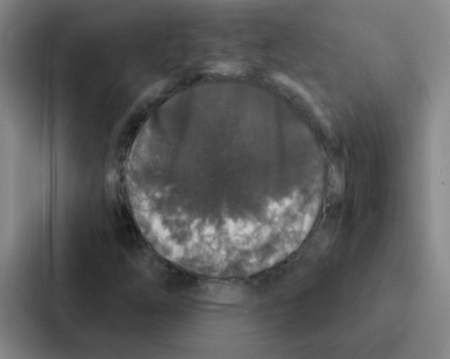 X0000086951254200705141815