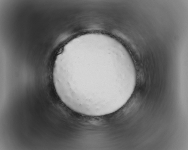 X0000086951255200705141815