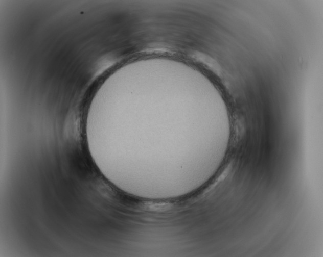 X0000086951258200705141815