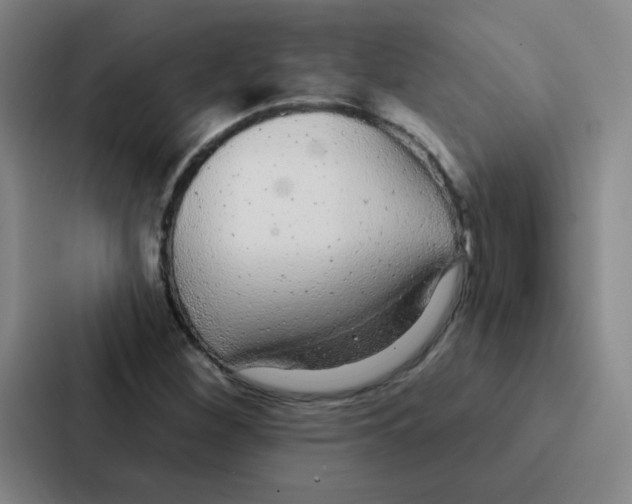 X0000086951260200705141815