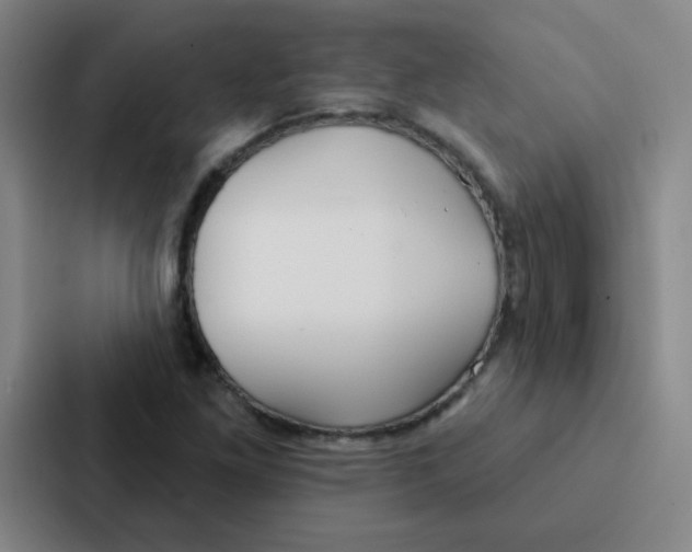 X0000086951261200705141815