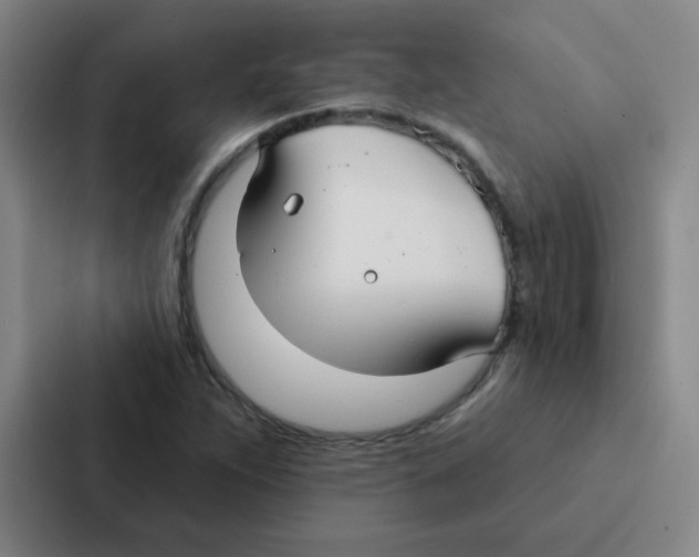 X0000086951263200705141815