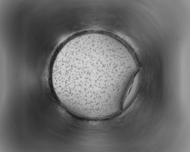 X0000086951264200705141815