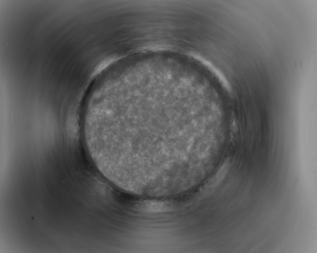 X0000086951266200705141815