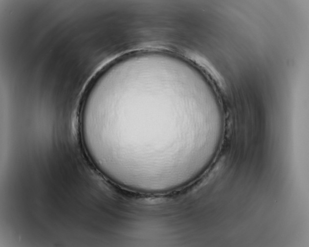 X0000086951268200705141815