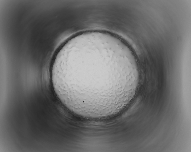 X0000086951271200705141815