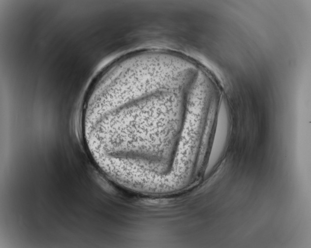 X0000086951272200705141815