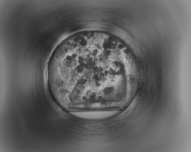 X0000086951275200705141815