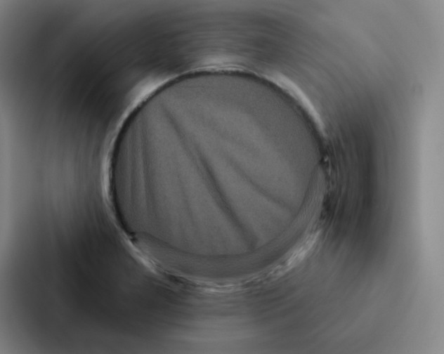 X0000086951277200705141815