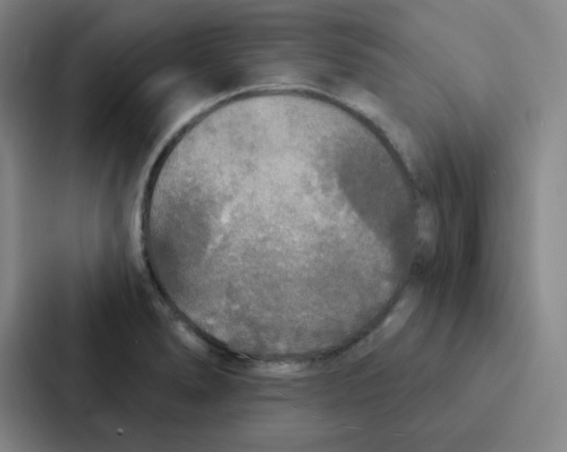 X0000086951278200705141815