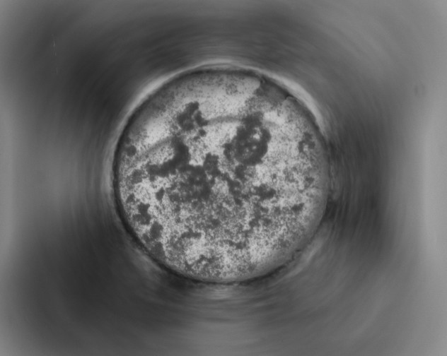 X0000086951279200705141815