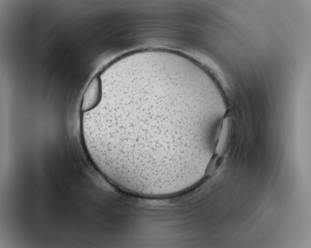 X0000086951280200705141815