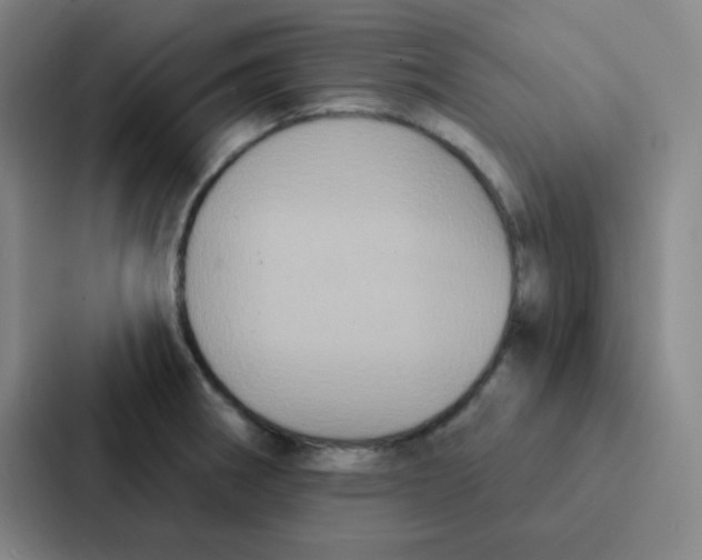 X0000086951282200705141815