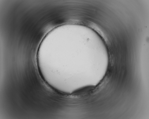 X0000086951283200705141815