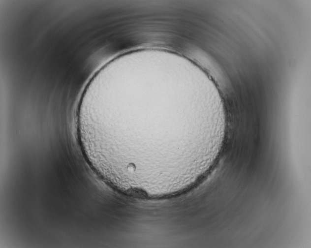 X0000086951284200705141815