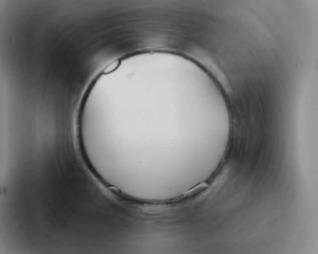 X0000086951285200705141815