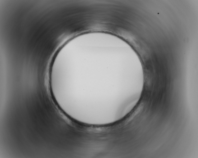 X0000086951286200705141815