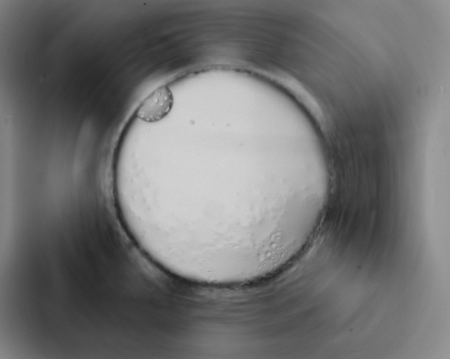 X0000086951287200705141815