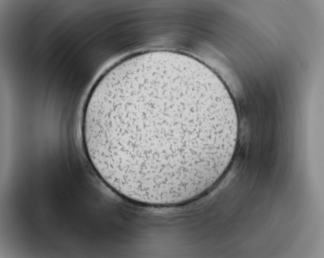 X0000086951288200705141815