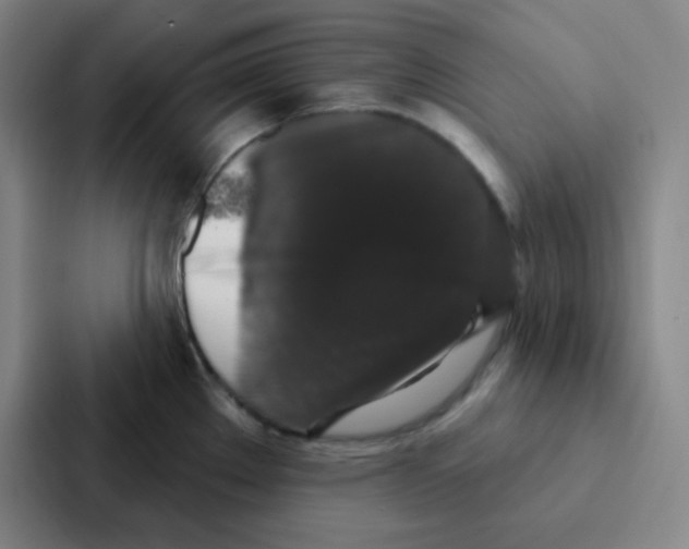 X0000086951289200705141815