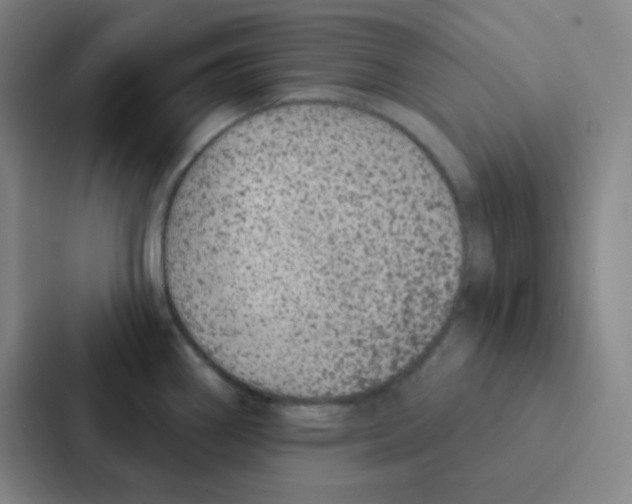 X0000086951290200705141815