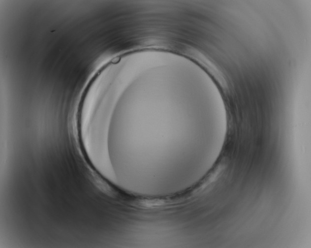 X0000086951291200705141815