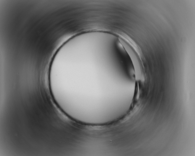 X0000086951293200705141814