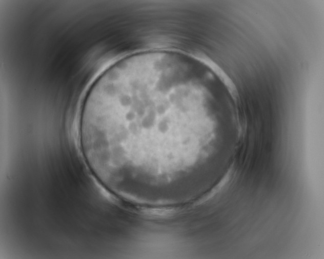 X0000086951294200705141814