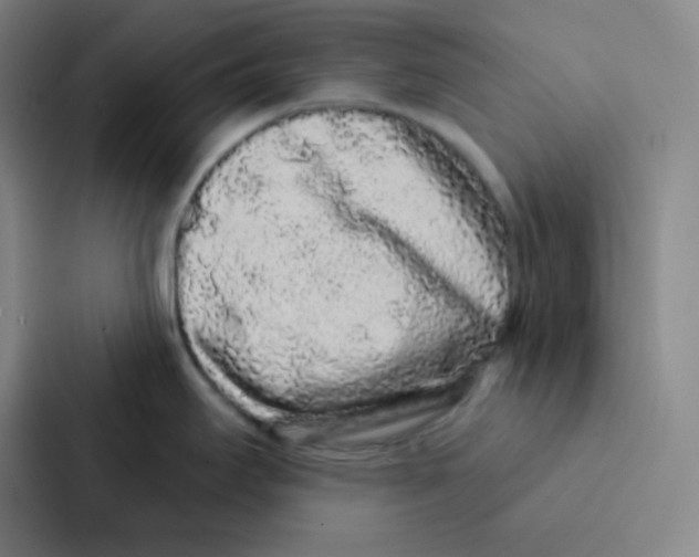 X0000086951295200705141814