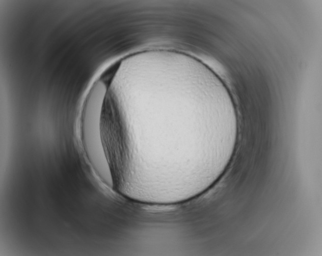 X0000086951296200705141814