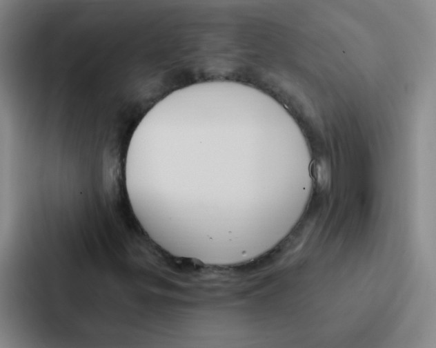 X0000086951299200705141814