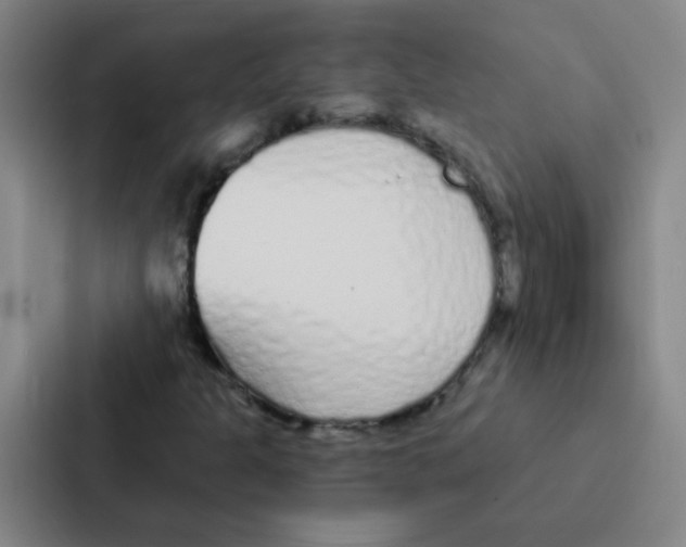 X0000086951301200705141814