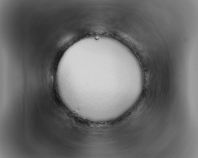 X0000086951302200705141814