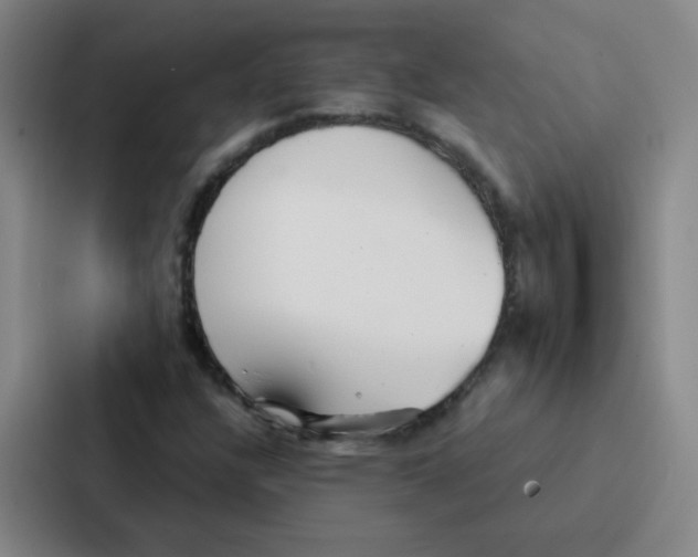 X0000086951304200705141814