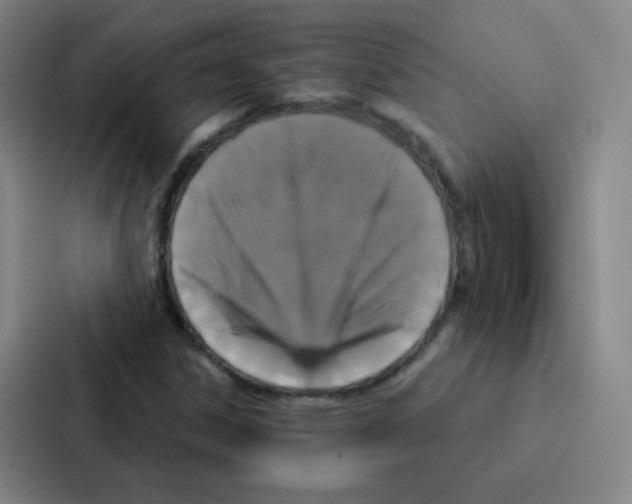 X0000086951306200705141814