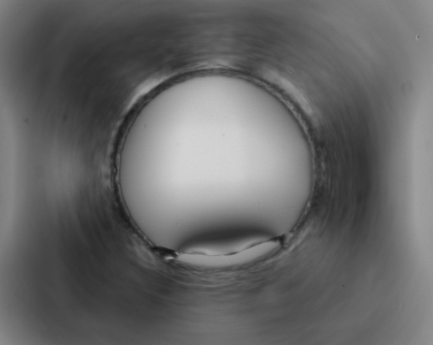 X0000086951308200705141814