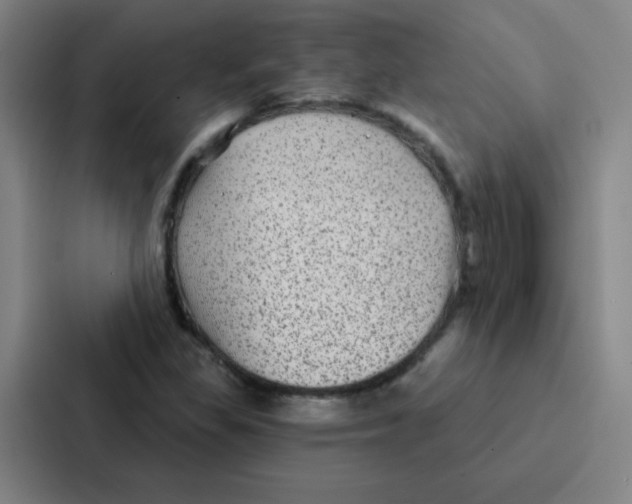 X0000086951309200705141814