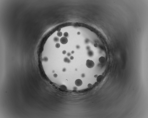 X0000086951311200705141814