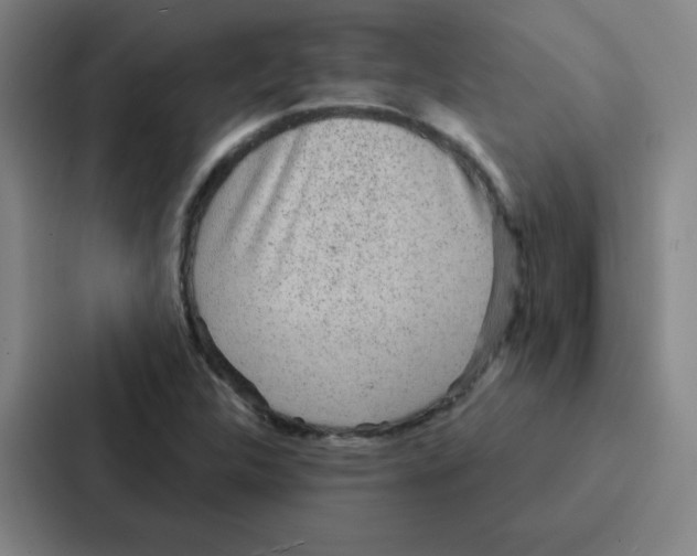 X0000086951312200705141814